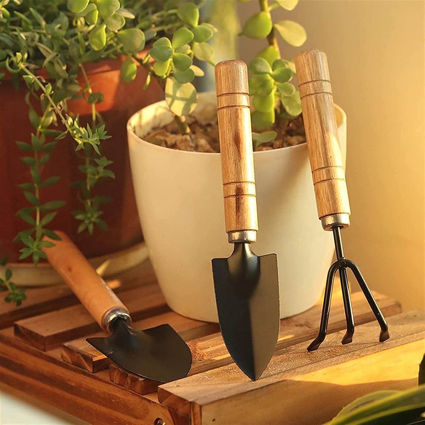 Garden Tool Kit Durable Hand Tools Set with Wooden Handle (3 Pc)
